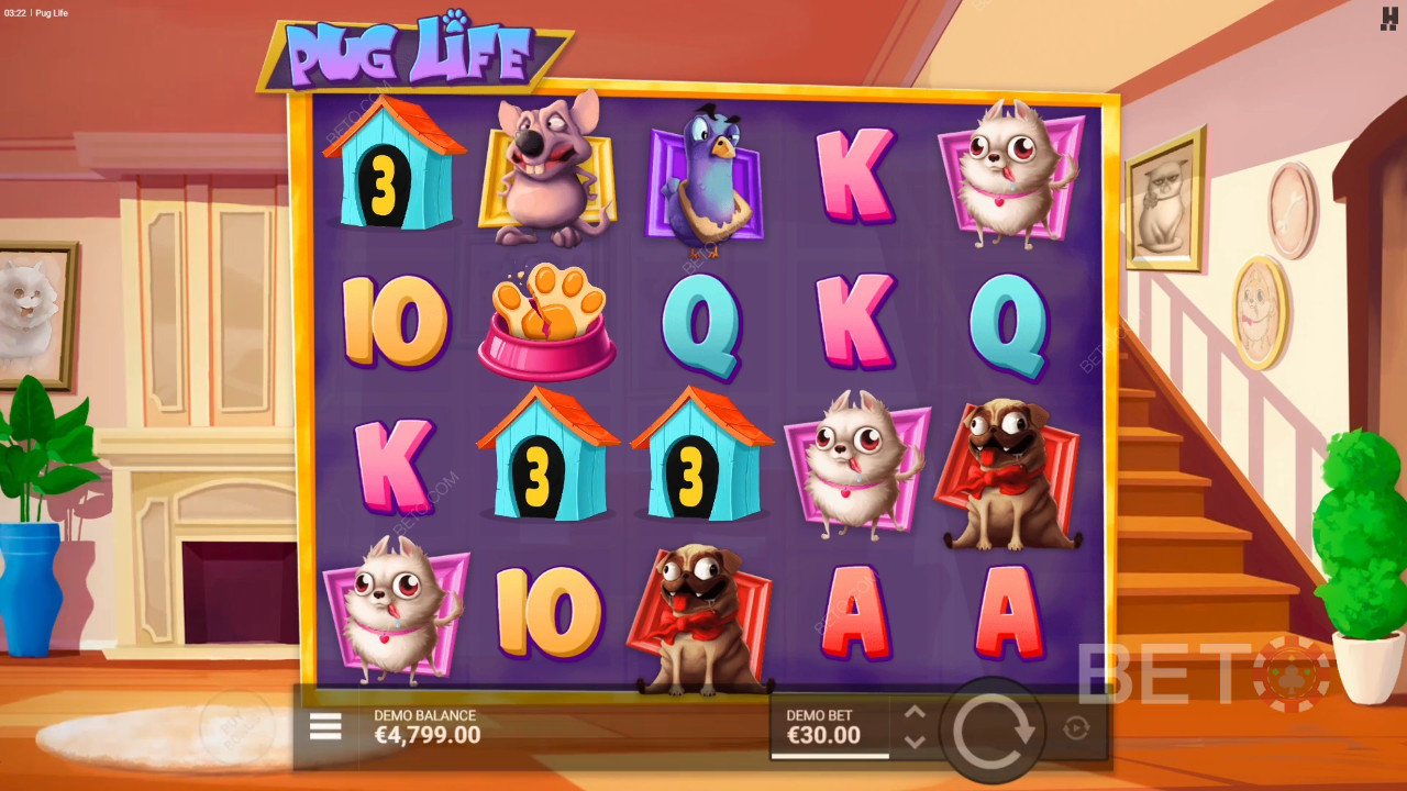 Огляд Pug Life від BETO Slots
