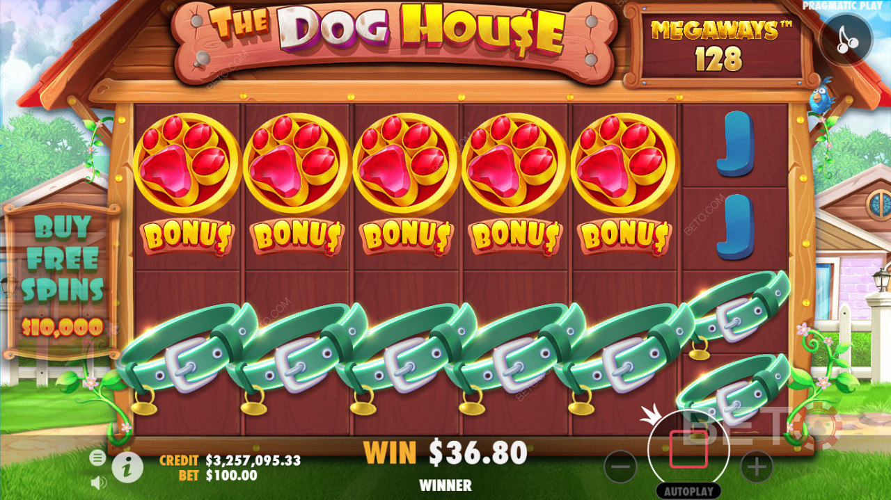 Детальний ігровий інтерфейс слотів казино The Dog House Megaways