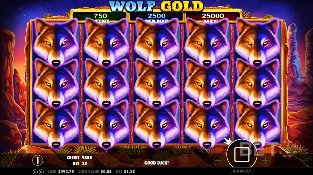 Wolf Gold Символ розкиду запускає раунд безкоштовних обертань