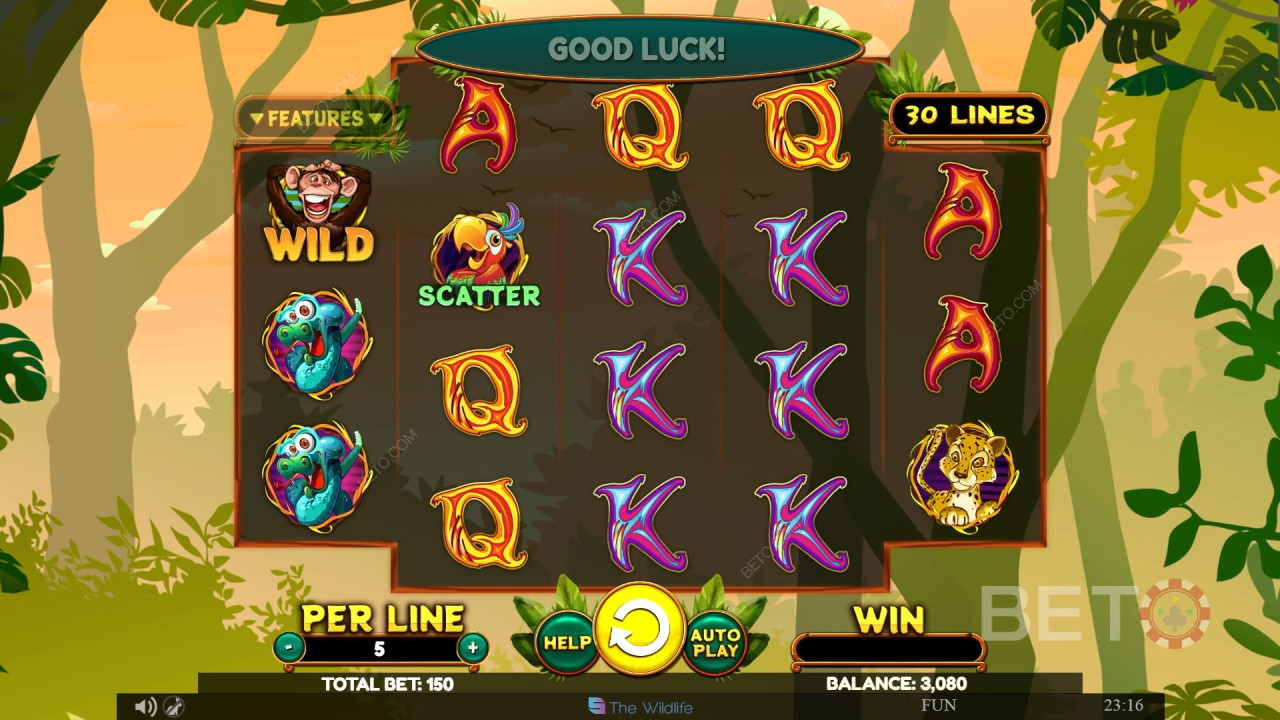 Огляд Wacky Monkey від BETO Slots