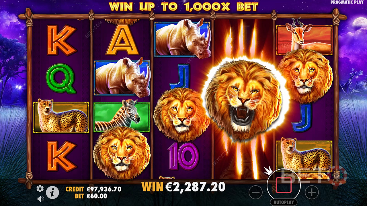 Safari King (Pragmatic Play)  Грати Безкоштовно