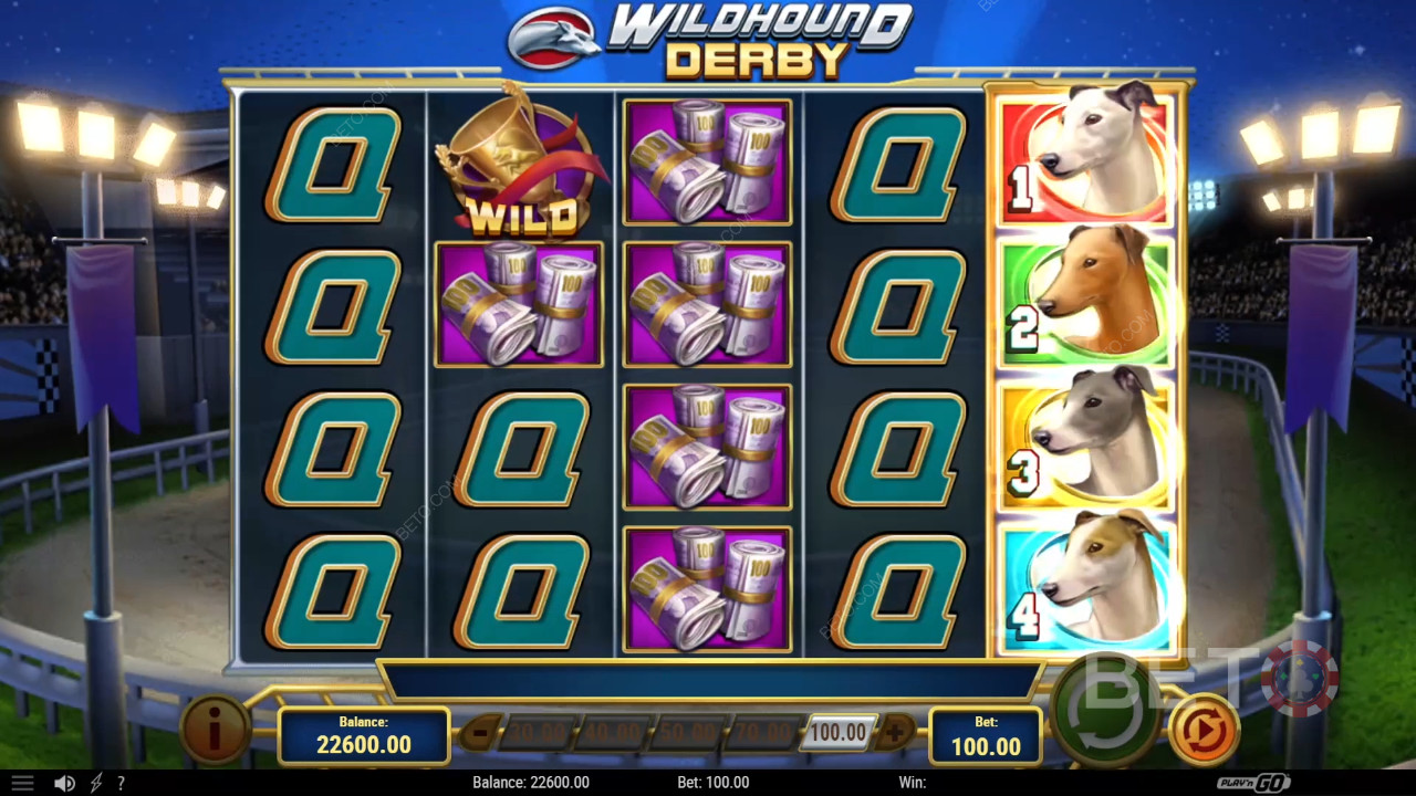 Огляд Wildhound Derby від BETO Slots