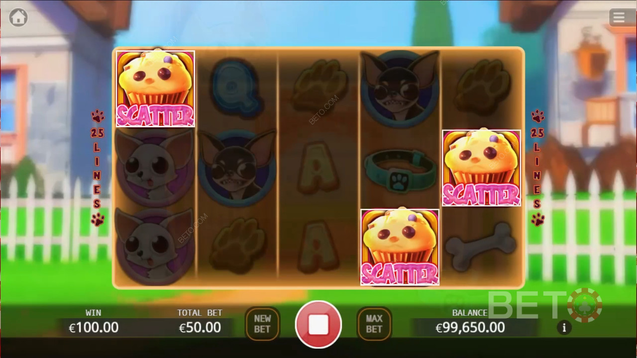 Огляд чихуахуа-вечірки від BETO Slots