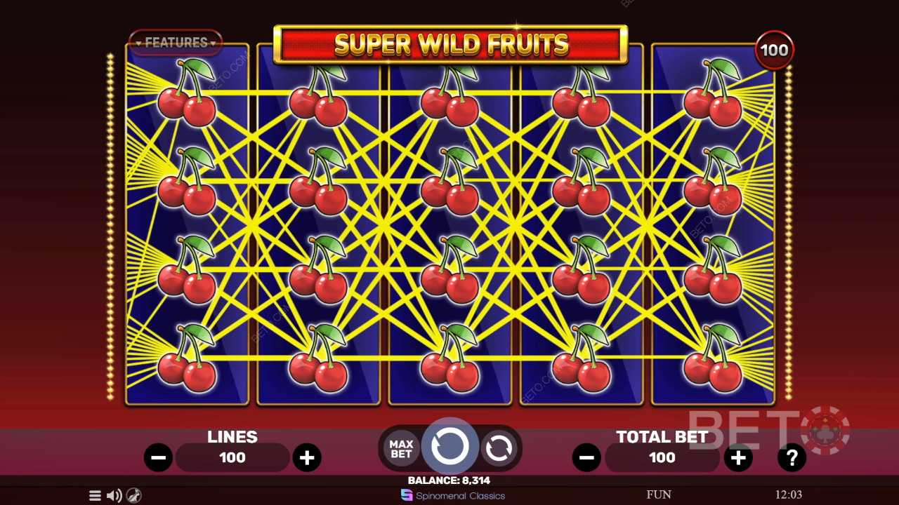 Огляд Super Wild Fruits від BETO Slots