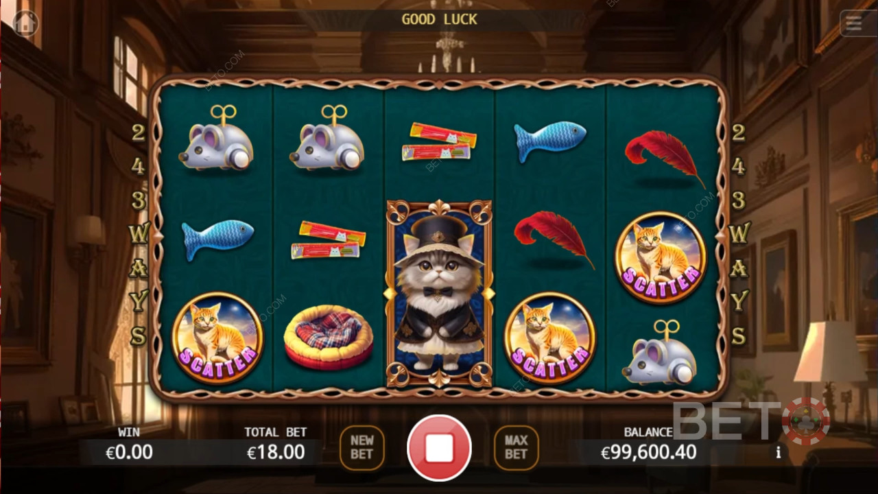Огляд благородного кота від BETO Slots