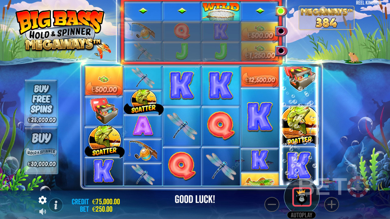 Огляд мегарейтингів Big Bass Hold і Spinner від BETO Slots