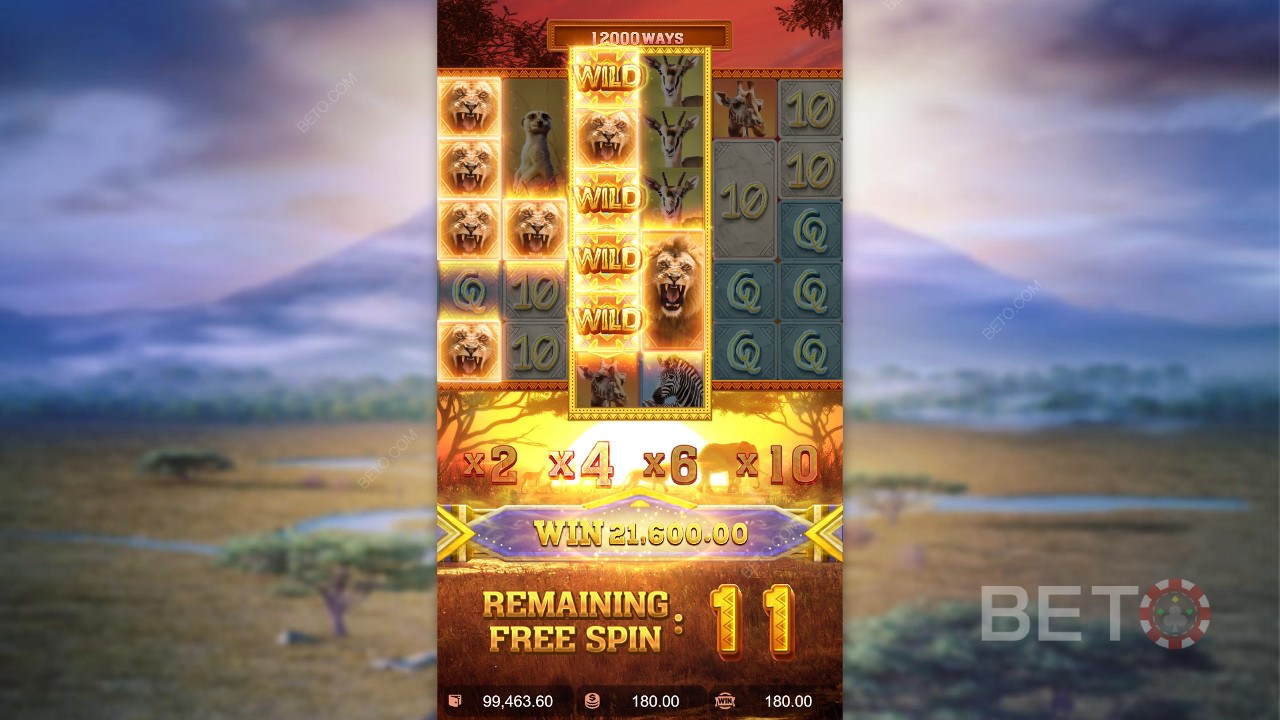 Пояснення бонусних функцій у Safari Wilds від PG Soft