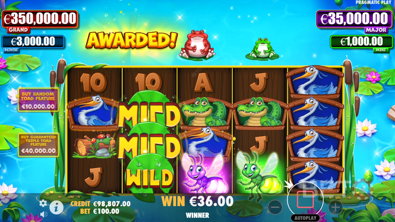 Огляд Tiny Toads від BETO Slots