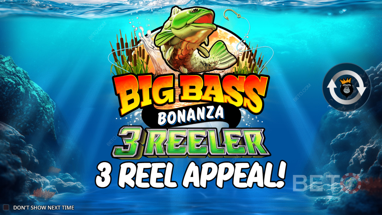 Як грати Reel Kingdom Big Bass Bonanza 3 барабани