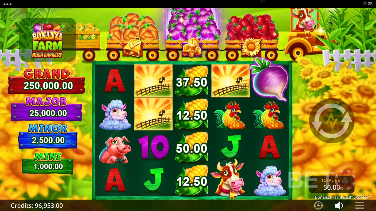 Огляд Bonanza Farm Rush Express від BETO Slots