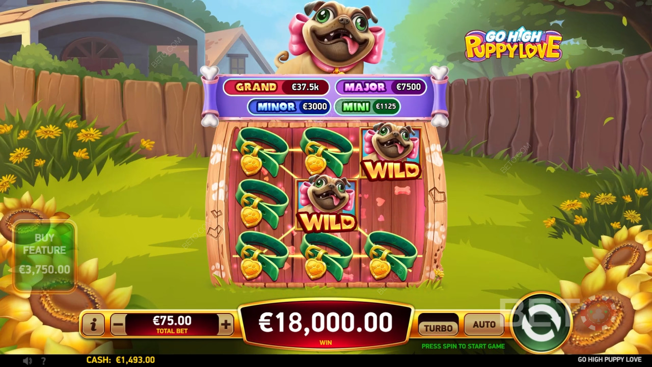 Огляд Go High Puppy Love від BETO Slots