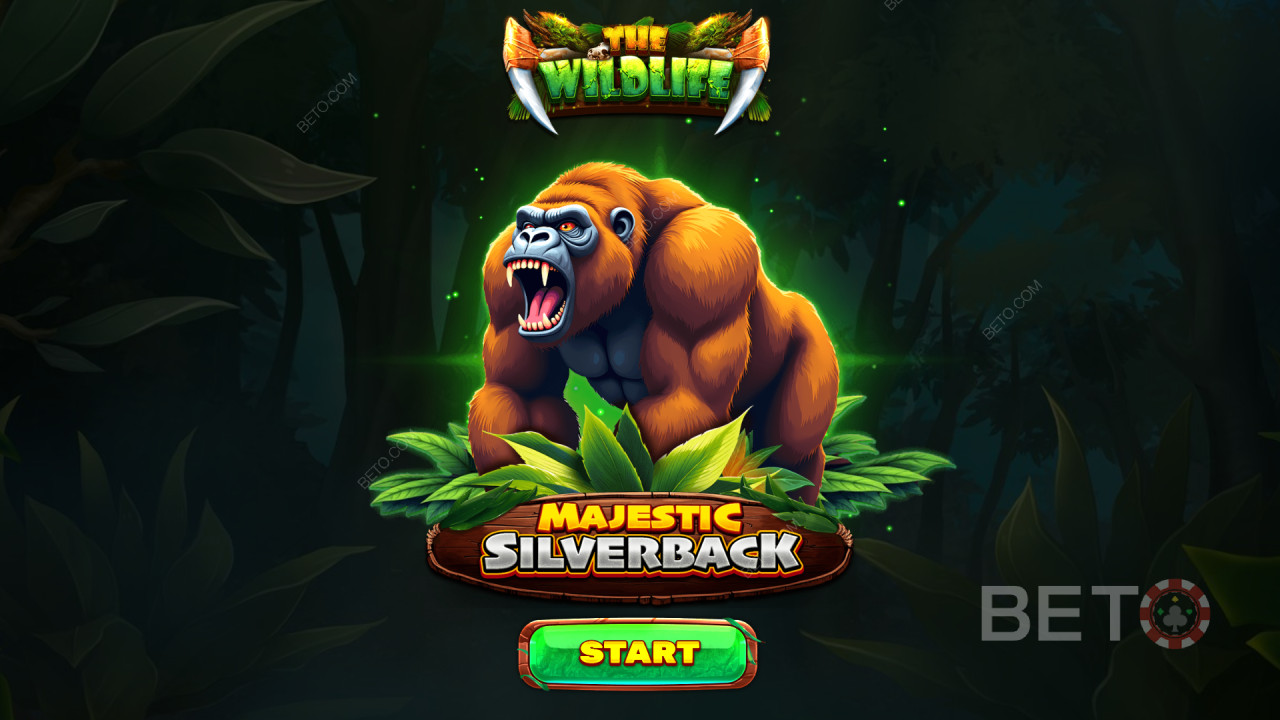 Пояснення бонусних функцій у Majestic Silverback від Spinomenal