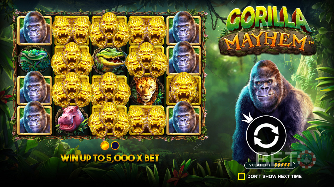 Символи золотої горили відіграють важливу роль в ігровому автоматі Gorilla Mayhem
