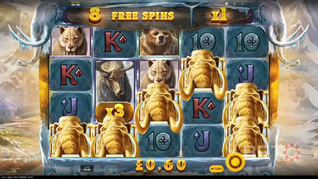 Огляд Wild Tundra від BETO Slots
