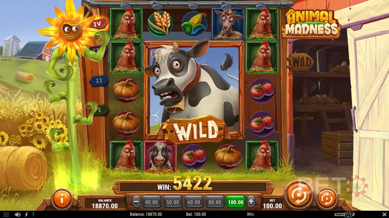 Огляд Animal Madness від BETO Slots