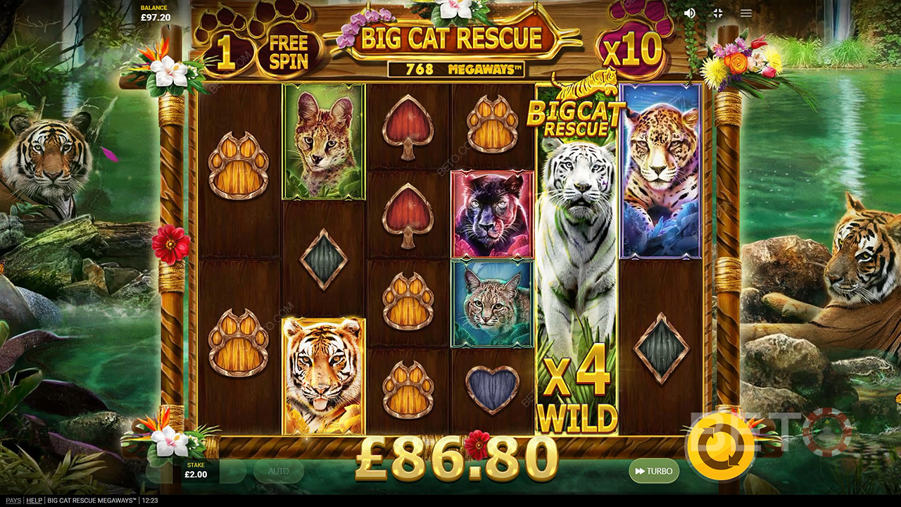 Big Cat Rescue Megaways Грати Безкоштовно