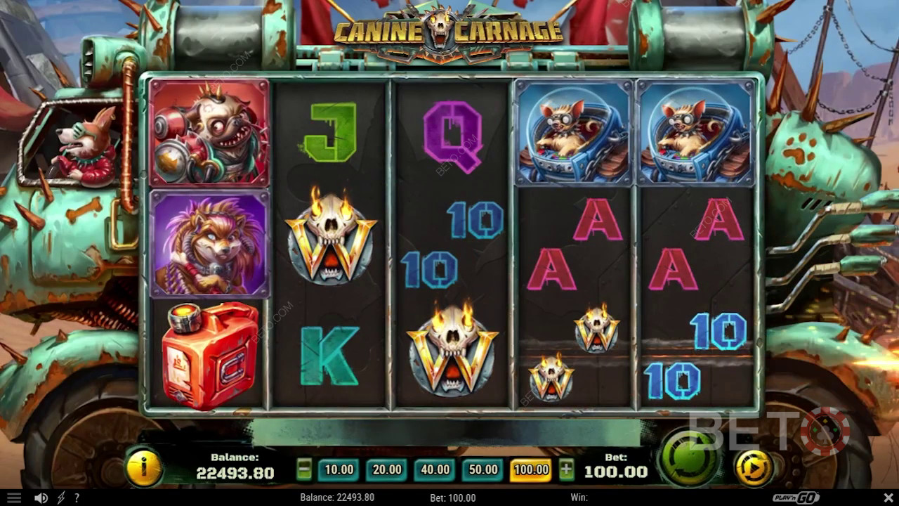 Огляд Canine Carnage від BETO Slots