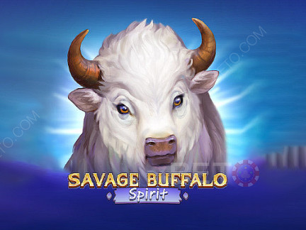 Savage Buffalo Spirit Демо