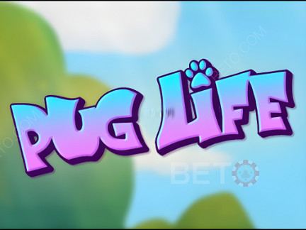 Pug Life Демо