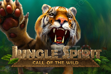 Jungle Spirit - Приєднуйтесь до пригоди в глибоких і темних джунглях.