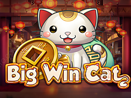 Big Win Cat Демо