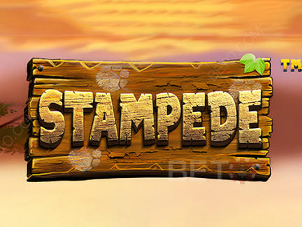 Stampede (Betsoft)  Демо