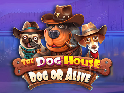 The Dog House - Dog or Alive Демо