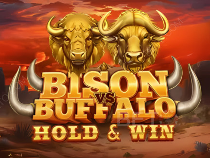 Bison vs Buffalo Демо
