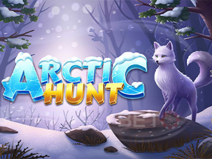 Arctic Hunt Демо