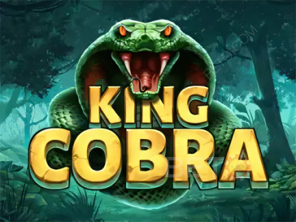 King Cobra Демо