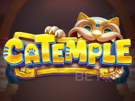 Catemple Демо