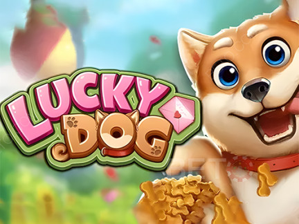 Lucky Dog Демо