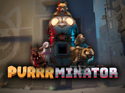 Purrrminator Демо