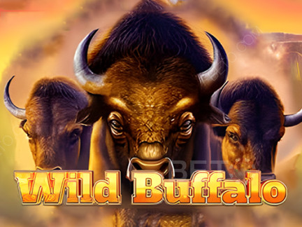 Wild Buffalo Демо
