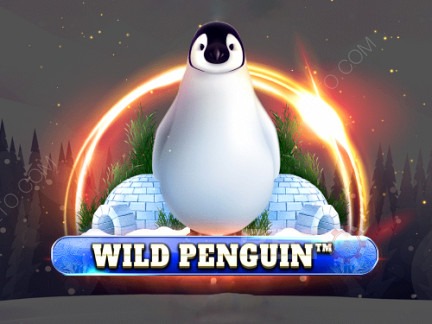 Wild Penguin Демо