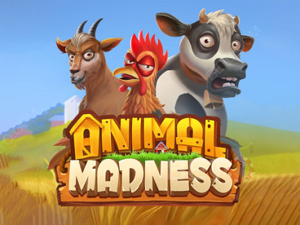 Animal Madness Демо
